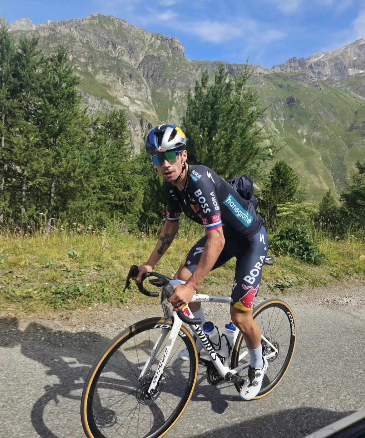 Da Wisma a Bora, il viaggio agonistico di Roglic